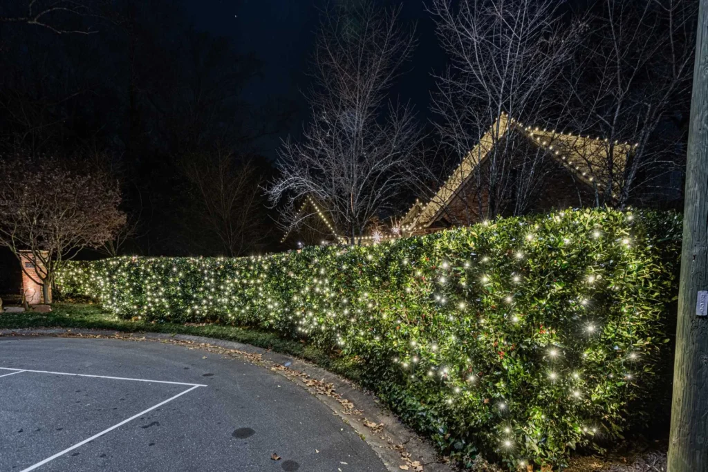 Long hedge covered in dense warm white Christmas lights beside a driveway at night
